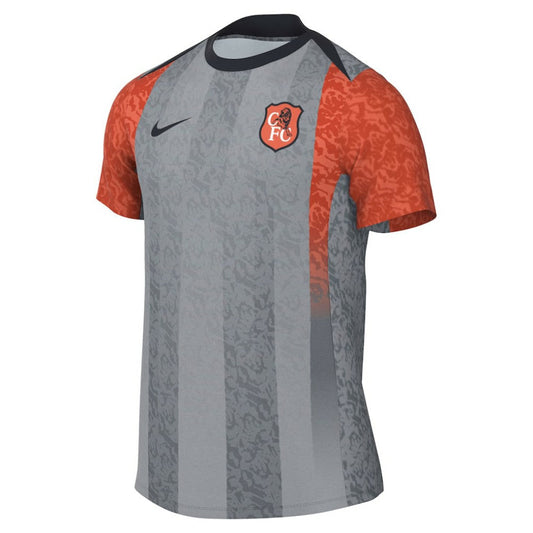 Chelsea 2025/26 Academy Pro Pre-Match Top on sale - Gray