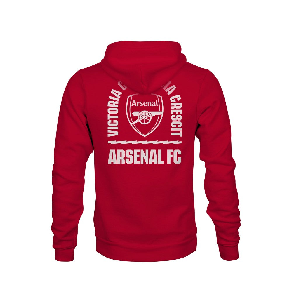 Arsenal 1863FC Youth True to Glory Fleece Hoodie on sale - Red
