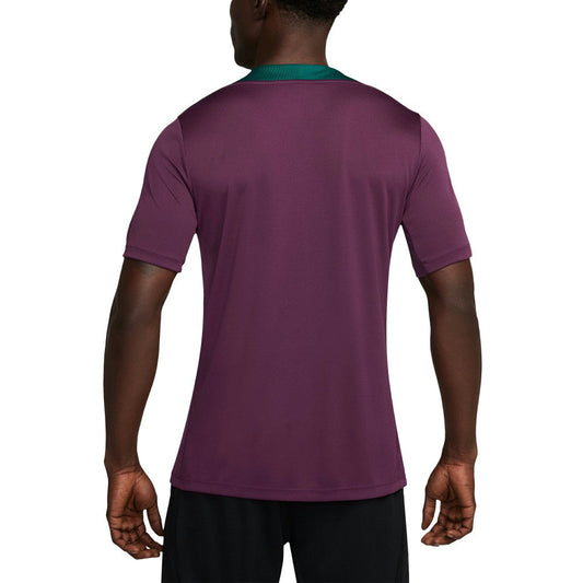Paris Saint-Germain 2024/25 Strike Performance Top on sale - Burgundy