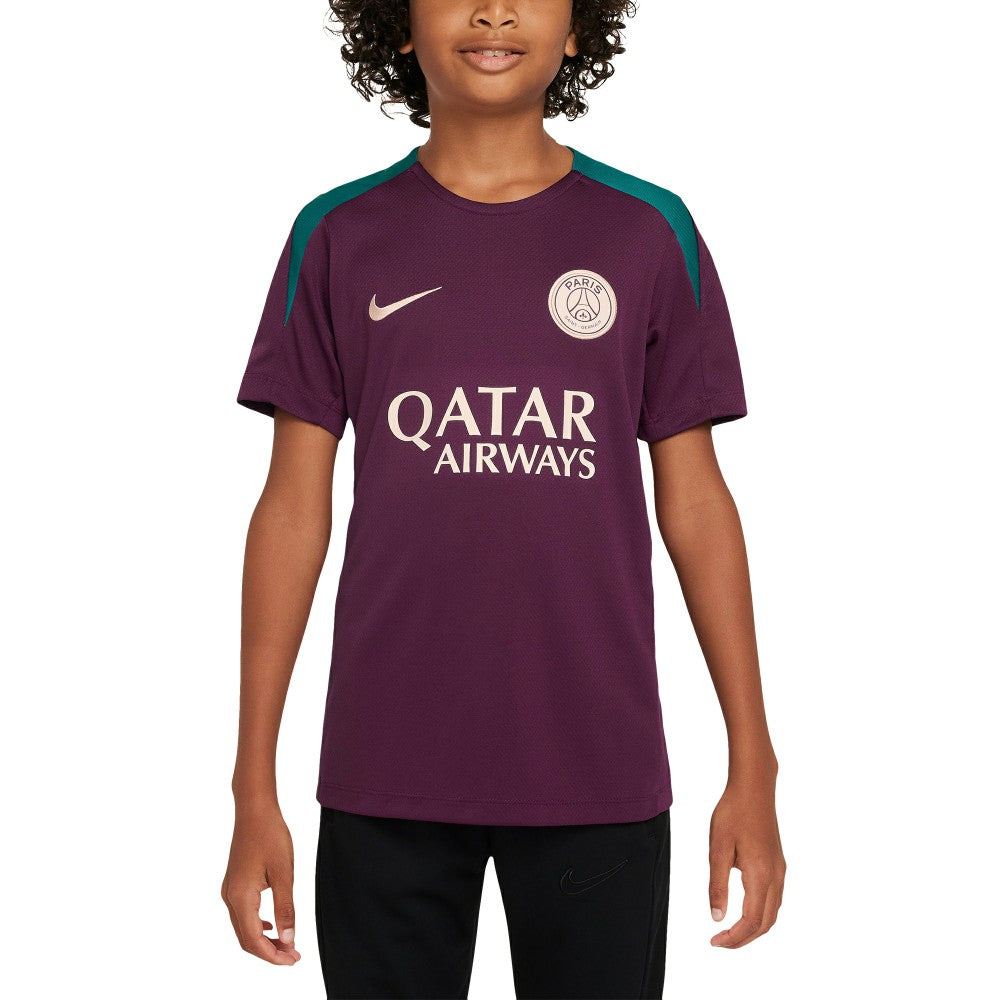 Paris Saint-Germain Youth 2024/25 Strike Training Performance Top on sale - Burgundy