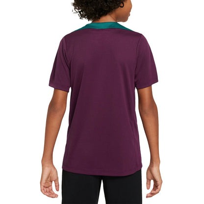 Paris Saint-Germain Youth 2024/25 Strike Training Performance Top on sale - Burgundy