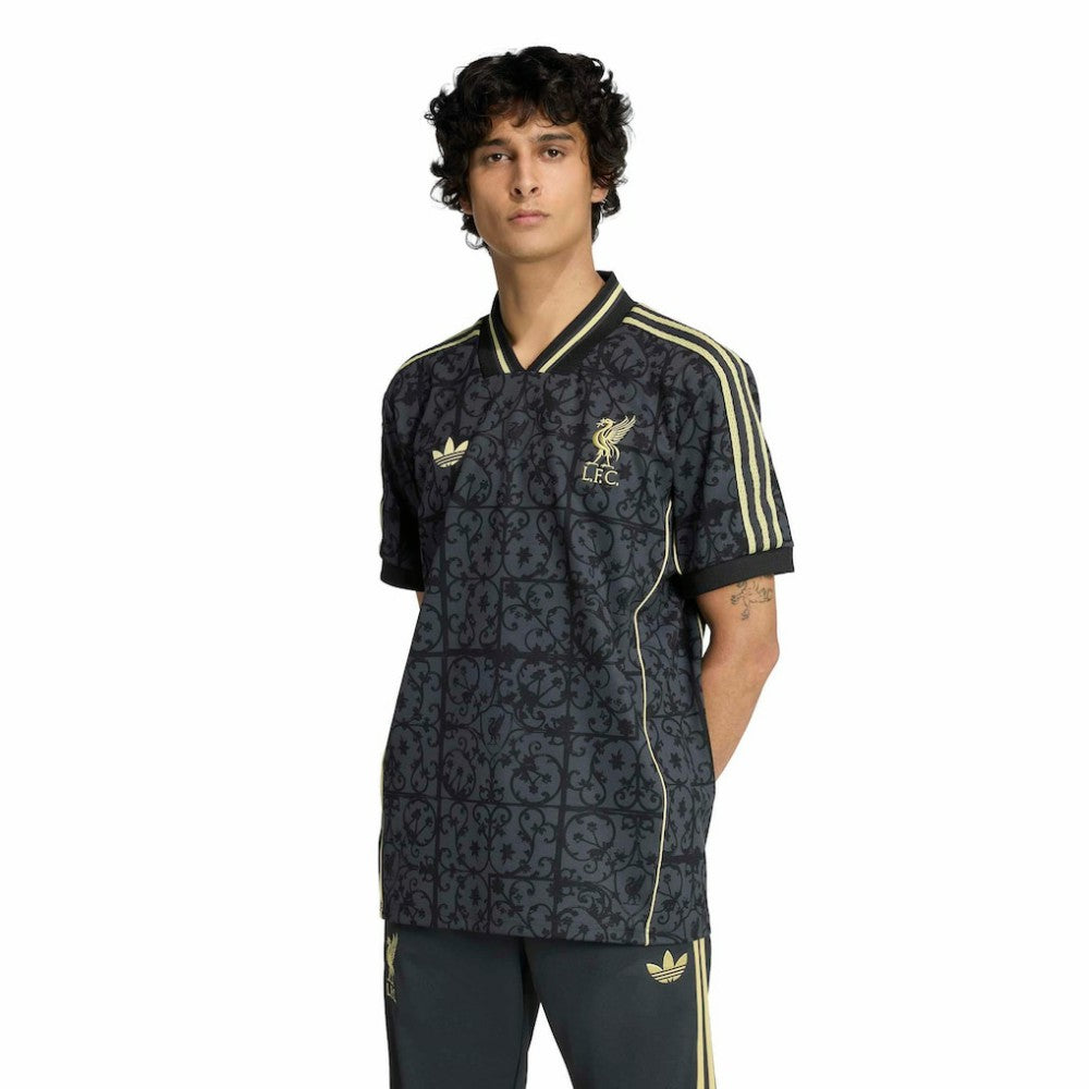 Liverpool Unisex Lifestyler Fashion Jersey Discount - Gray