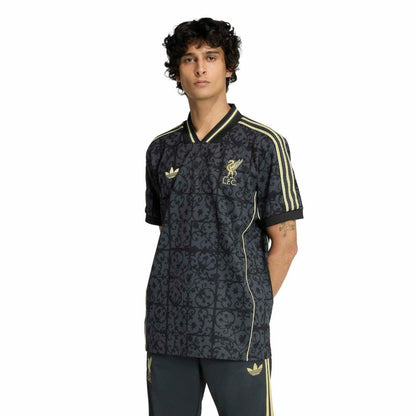 Liverpool Unisex Lifestyler Fashion Jersey Discount - Gray