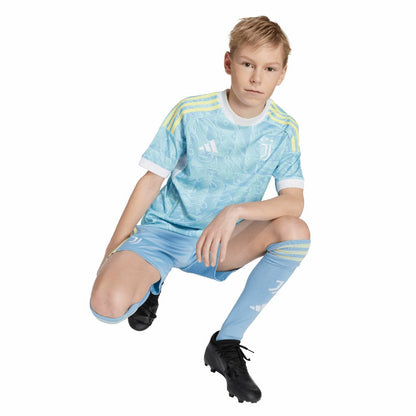 Juventus Youth 2025/26 Away Replica Jersey Discount - Blue