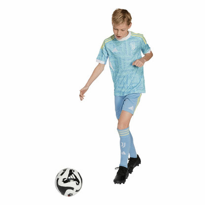 Juventus Youth 2025/26 Away Replica Jersey Discount - Blue