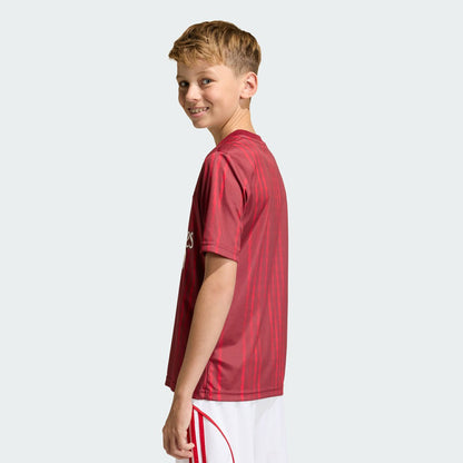 Arsenal Youth 2025/26 Pre-Match Training Jersey on sale - Red