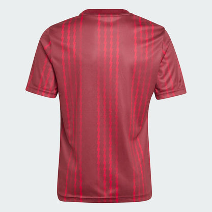 Arsenal Youth 2025/26 Pre-Match Training Jersey on sale - Red