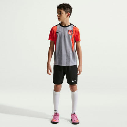 Chelsea Youth 2025/26 Academy Pro Pre-Match Top on sale - Gray