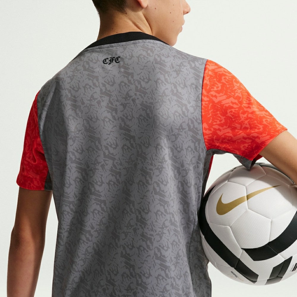 Chelsea Youth 2025/26 Academy Pro Pre-Match Top on sale - Gray
