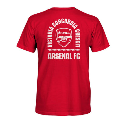 Arsenal 1863FC True To Glory Heavyweight T-Shirt on sale - Red