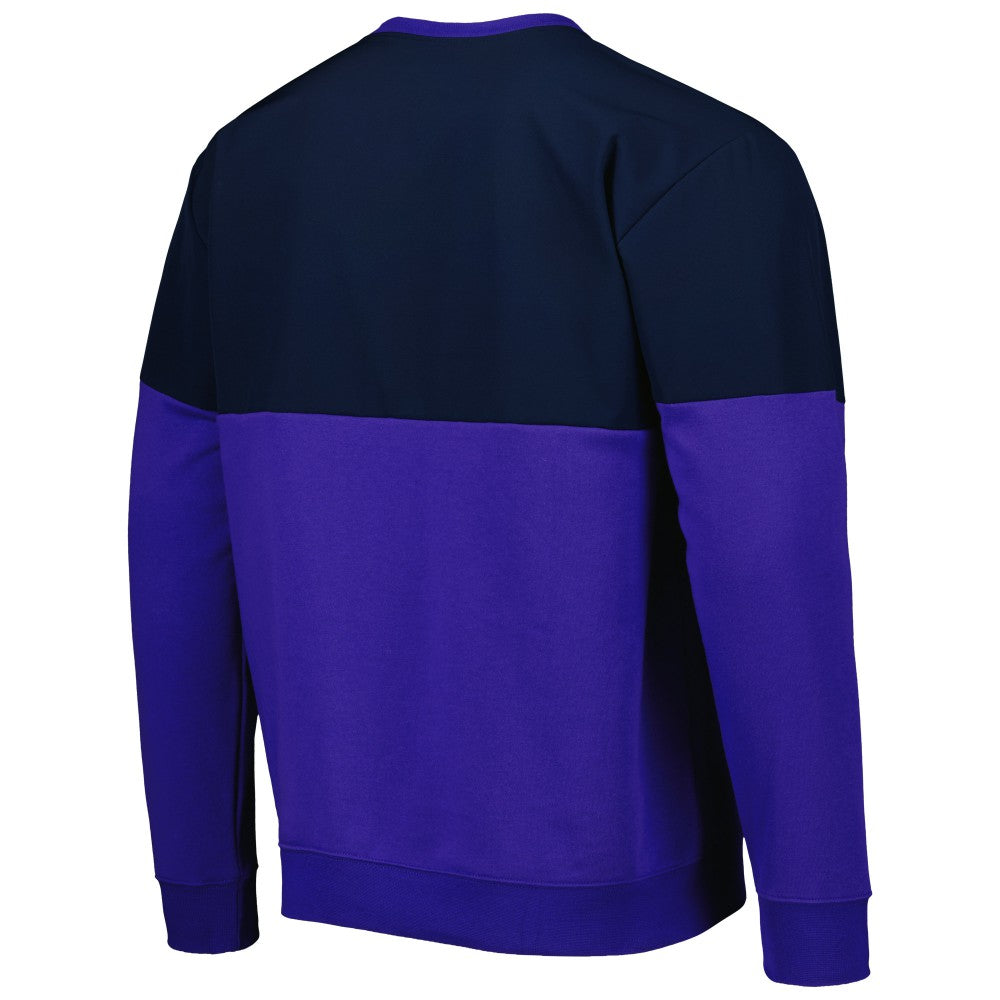 Argentina National Team Graphic Pullover Sweatshirt for sale - Navy/Purple