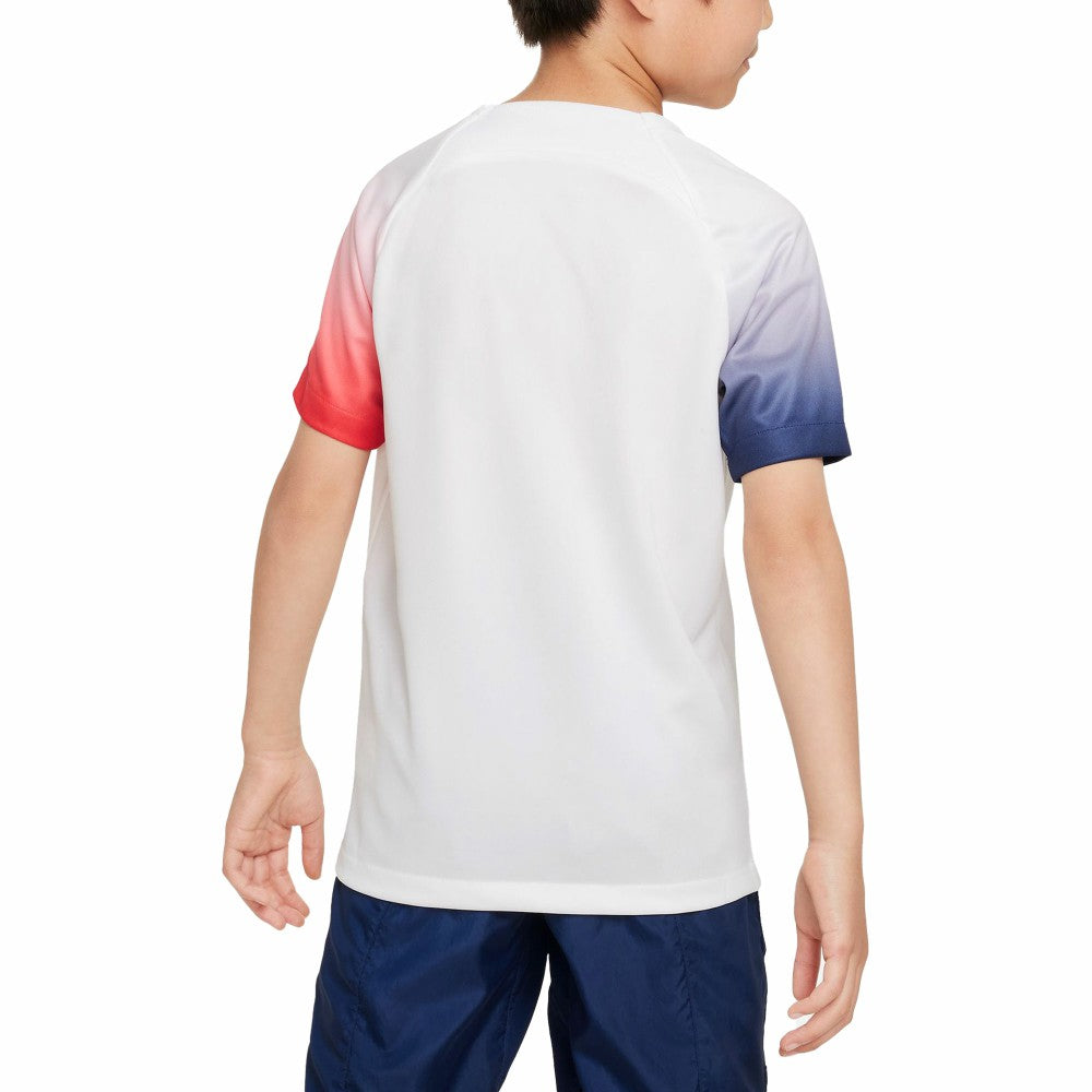Paris Saint-Germain Youth 2023/24 Academy Pro Performance Pre-Match Top on sale - White