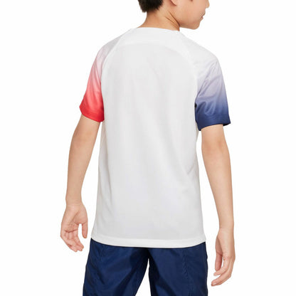Paris Saint-Germain Youth 2023/24 Academy Pro Performance Pre-Match Top on sale - White