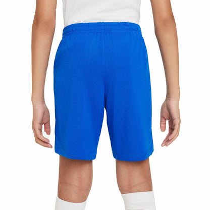 Barcelona Youth 2023/24 Away Stadium Performance Shorts on sale - Royal
