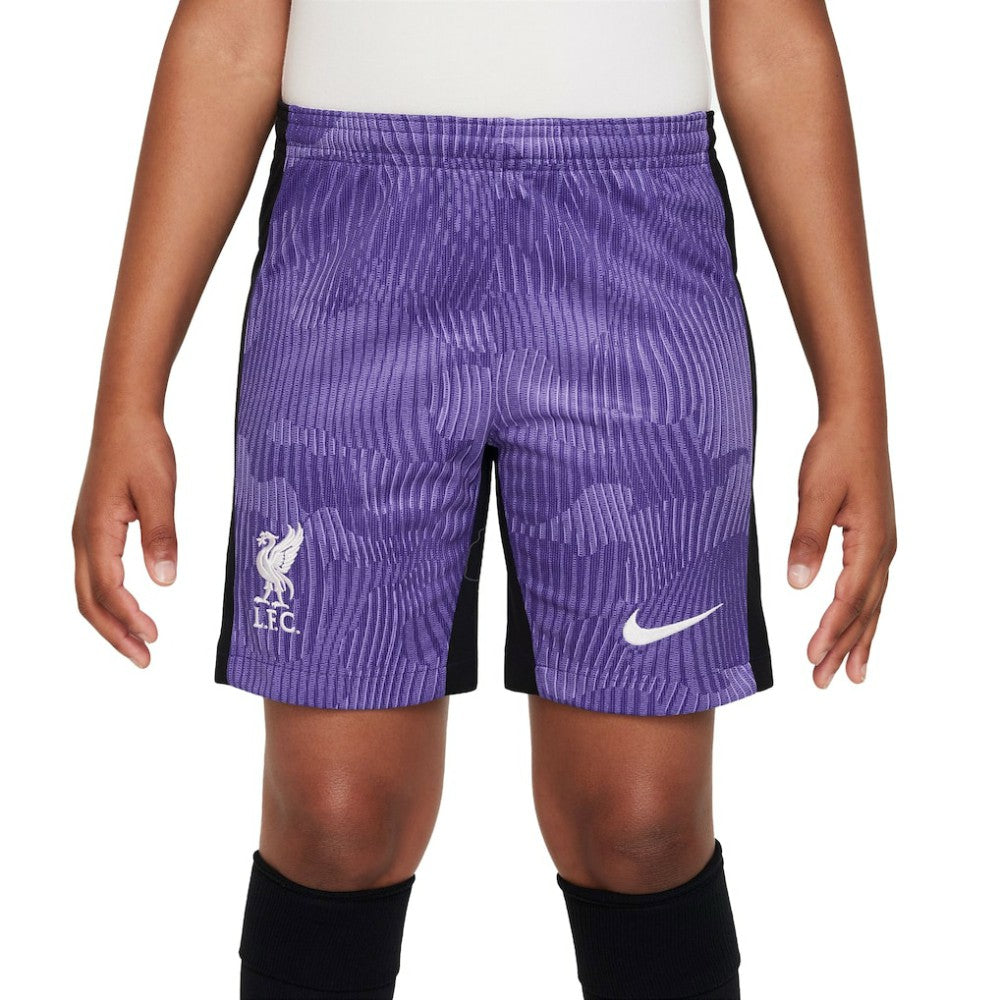Liverpool Youth 2023/24 Third Stadium Performance Shorts Discount - Purple
