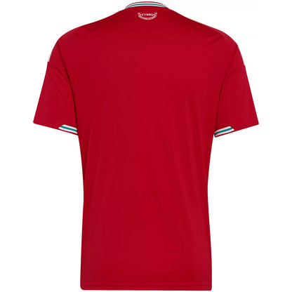 Wales Home Jersey World Cup 2026