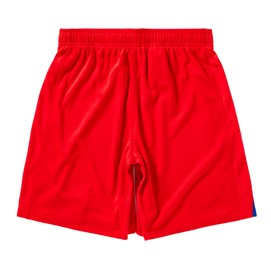 PSG Third Soccer Shorts 2025/26