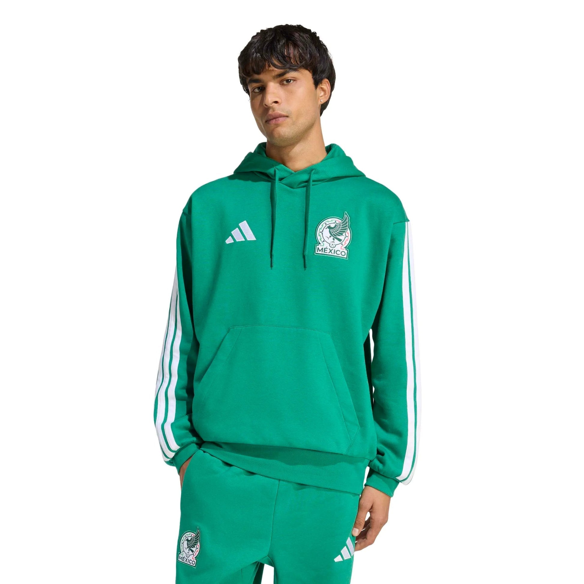 2026 Mexico Men's DNA Hoodie