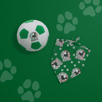 Floofball Mexico Dog Bandana