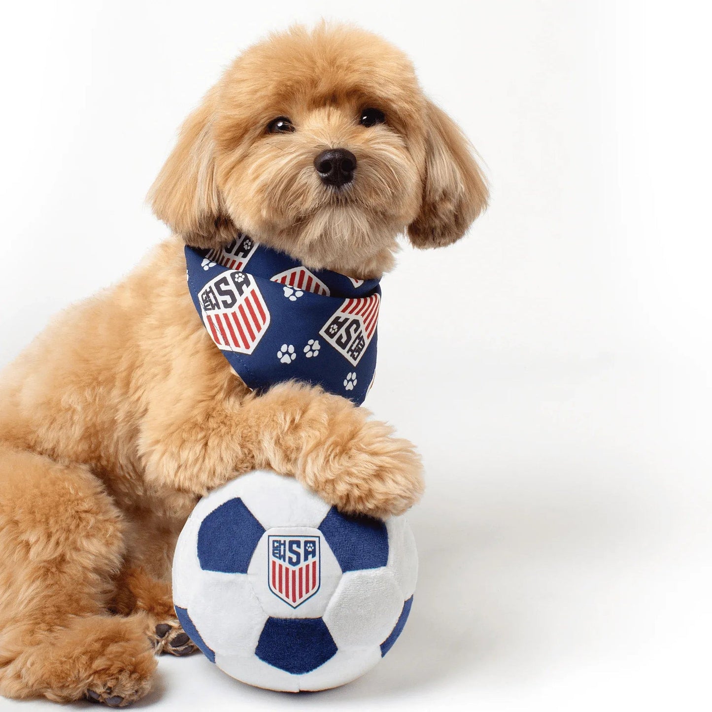Floofball ChewSA Dog Bandana
