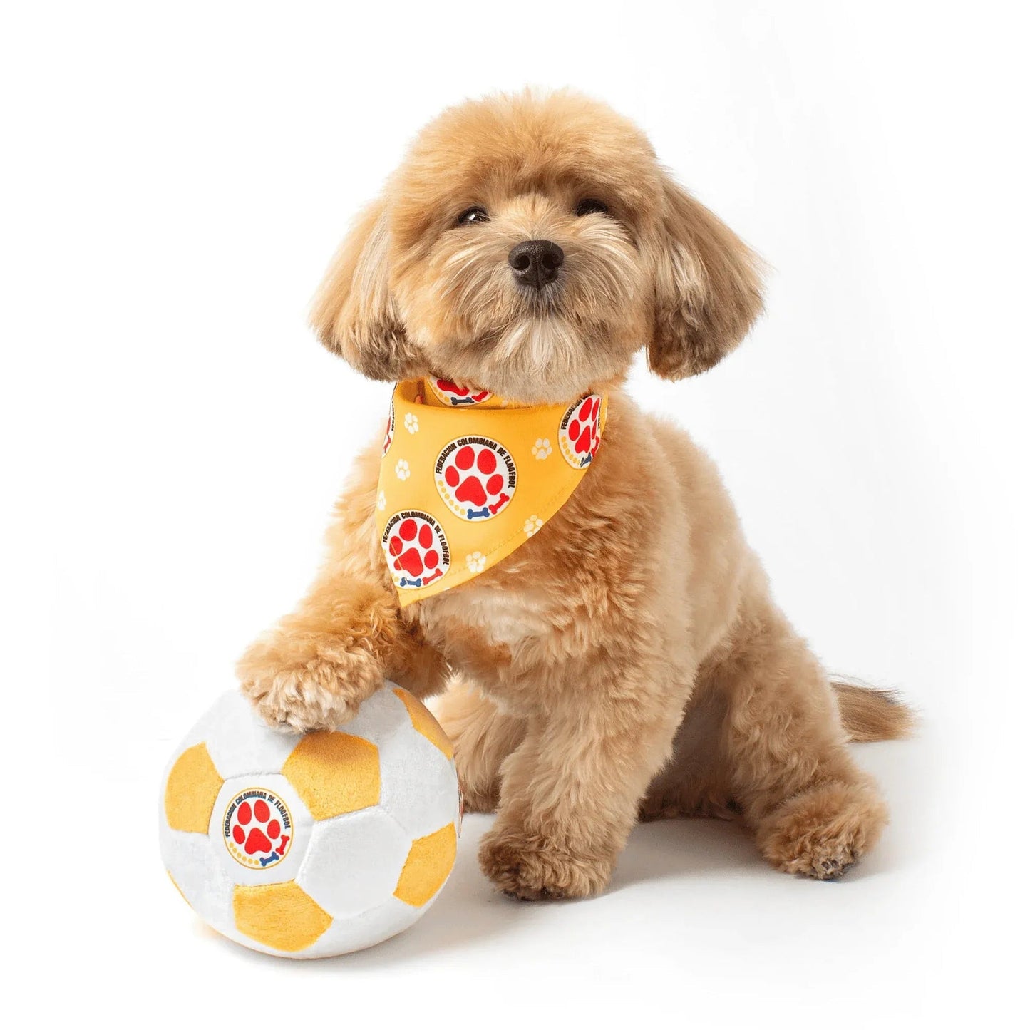 Floofball Colombia Dog Bandana