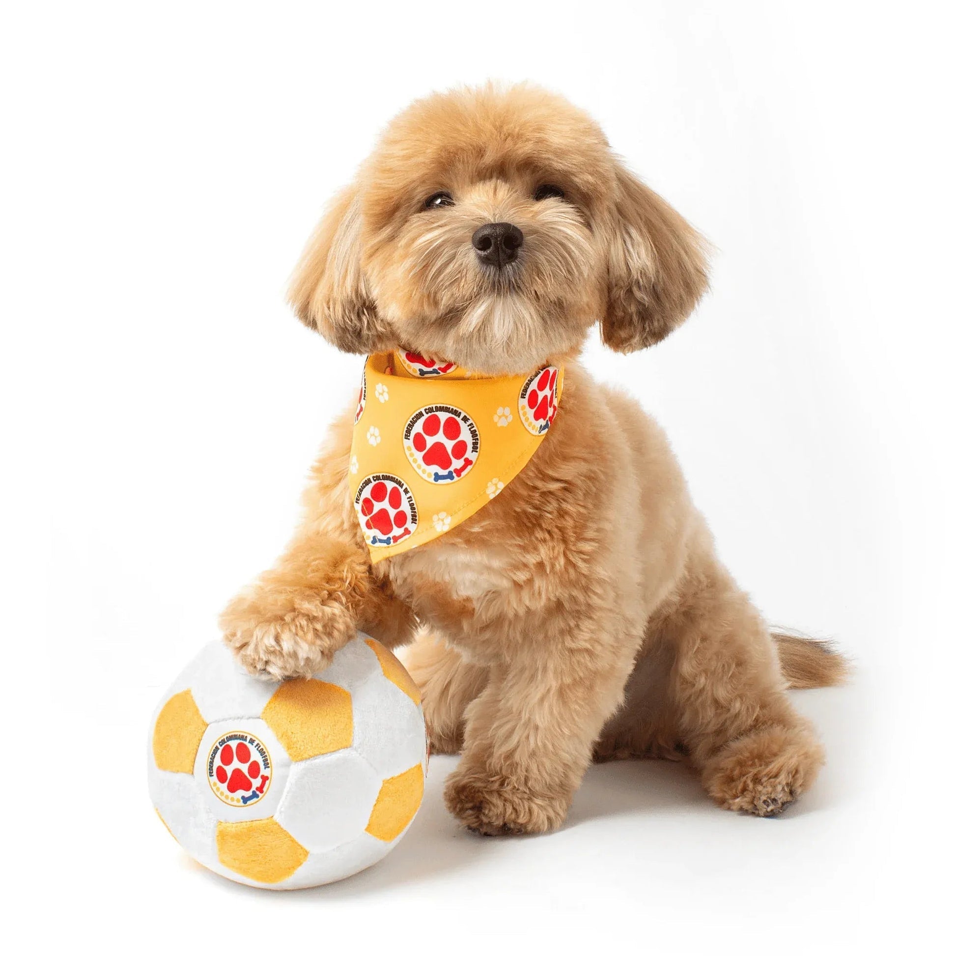 Floofball Colombia Dog Bandana