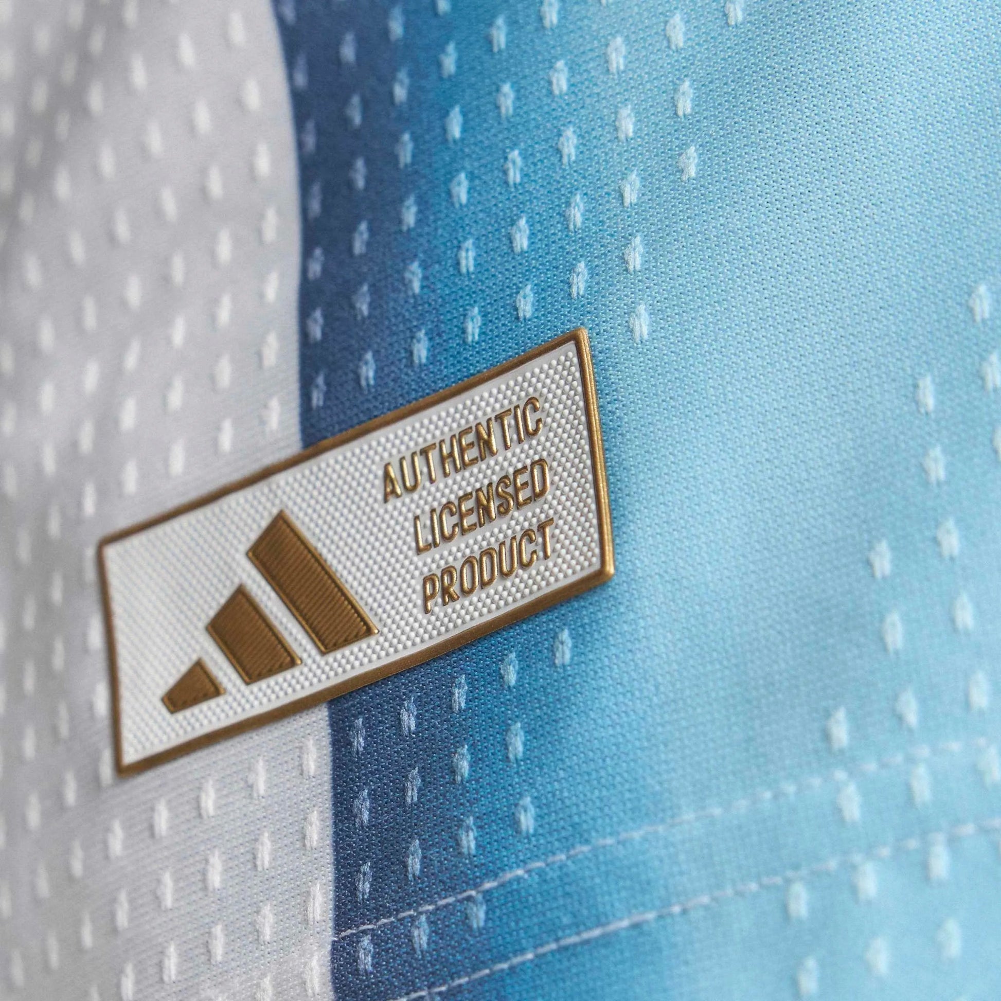 2026 Argentina Men's Authentic Home Messi #10 Soccer Jersey