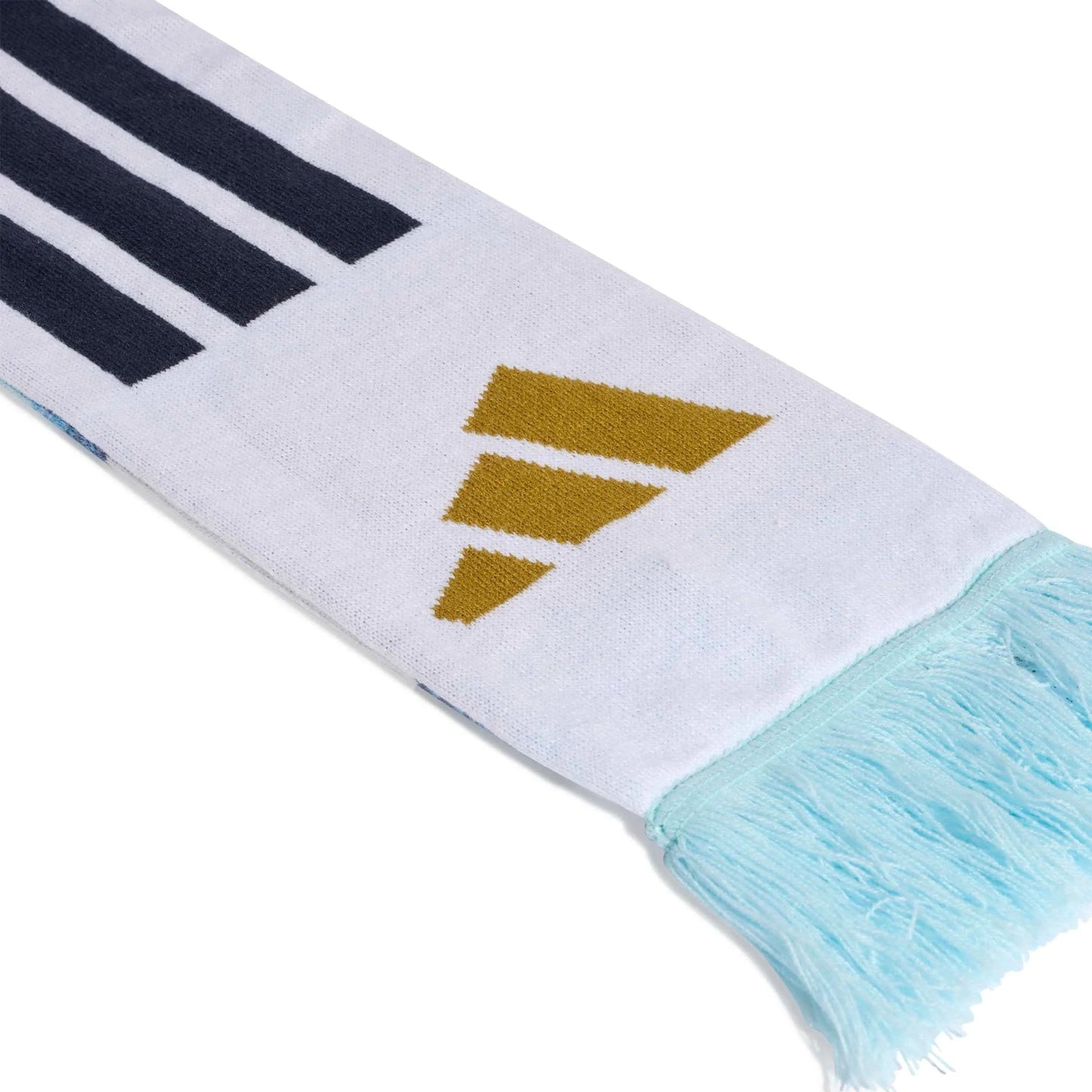 2026 Argentina Scarf
